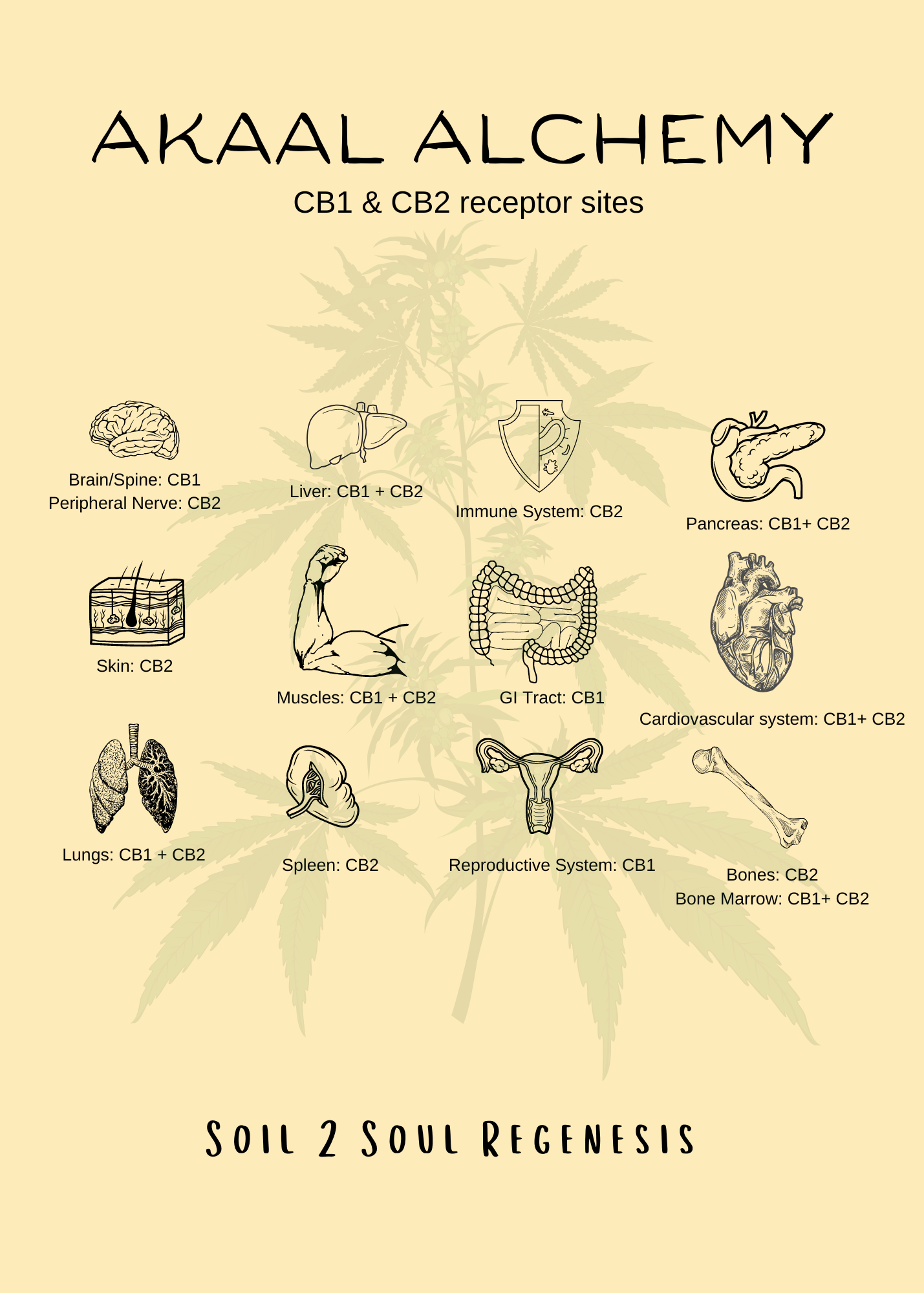 Custom Cannabinoid Tincture Formulation (30-60mL)